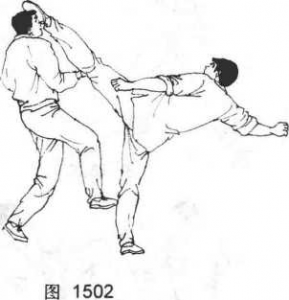 图片59