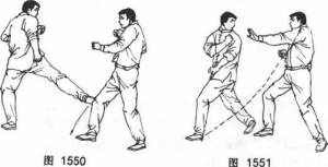 图片95