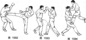 图片113