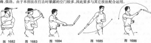 图片17