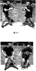 图片227