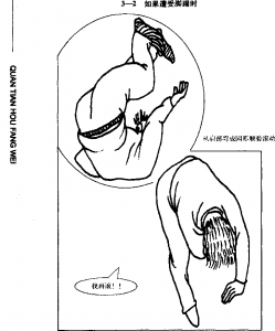 图片23