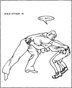 图片102
