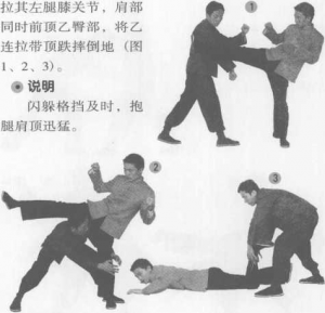 图片33