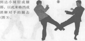 图片48