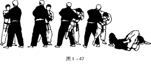 图片48