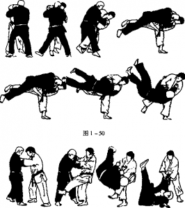 图片50