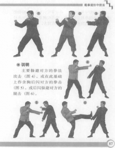 图片98