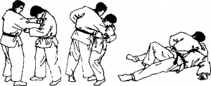 图片15