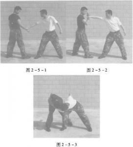 图片31