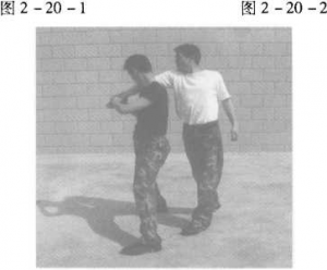 图片51