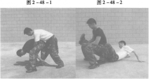 图片88