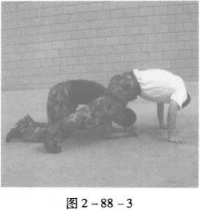 图片19