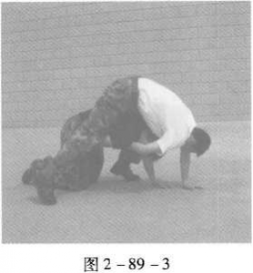 图片21