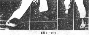 图片41