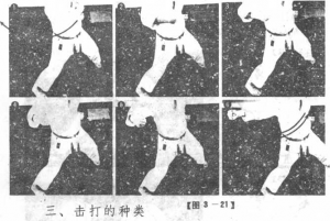 图片113