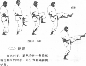 图片11