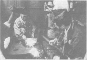 图片5
