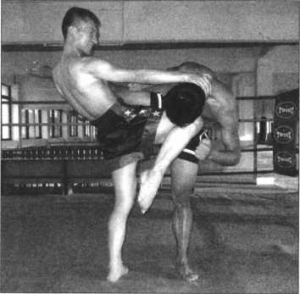图片81