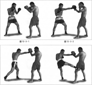 图片101