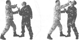 图片18