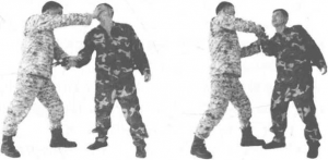图片17