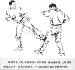 图片12