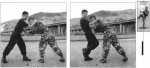 图片3