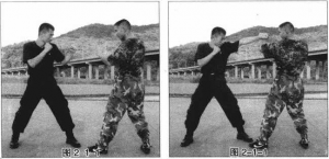 图片1