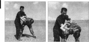 图片12