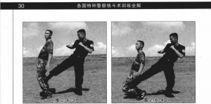 图片30