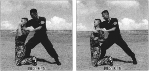图片31