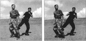 图片35