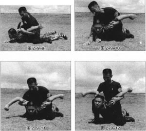 图片41