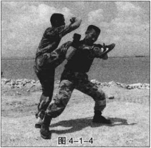 图片164