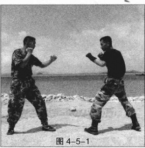图片179