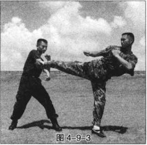 图片197