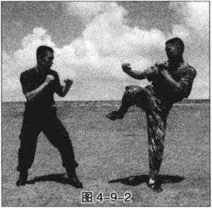 图片196