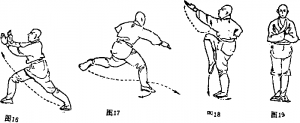 图片15