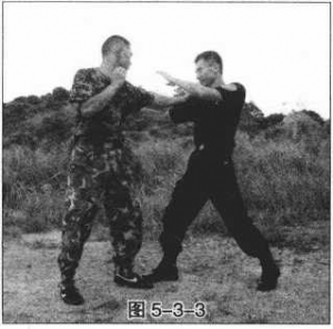 图片210