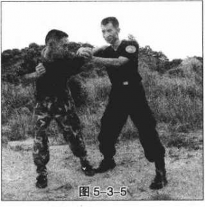 图片211
