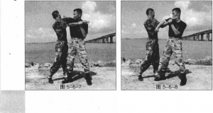 图片223