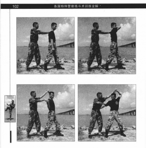 图片226