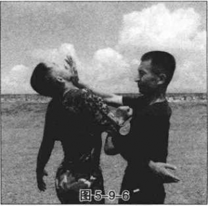 图片232