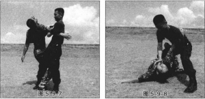 图片233