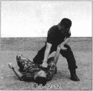 图片243