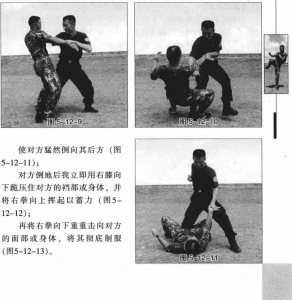 图片242
