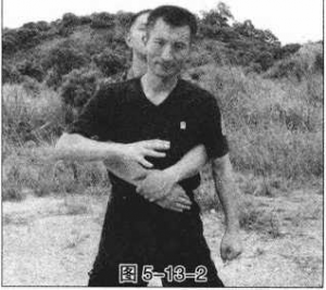 图片245