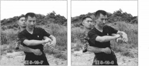 图片247