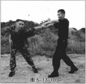 图片249